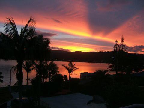 Paku Lodge Resort Tairua Exteriör bild